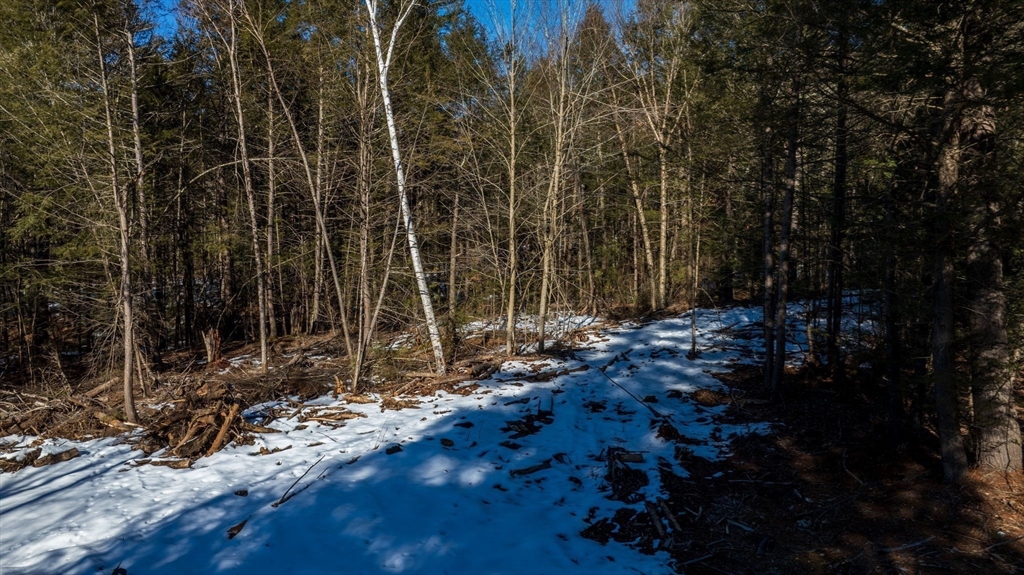 0 Pond Brook Road Property Photo 4