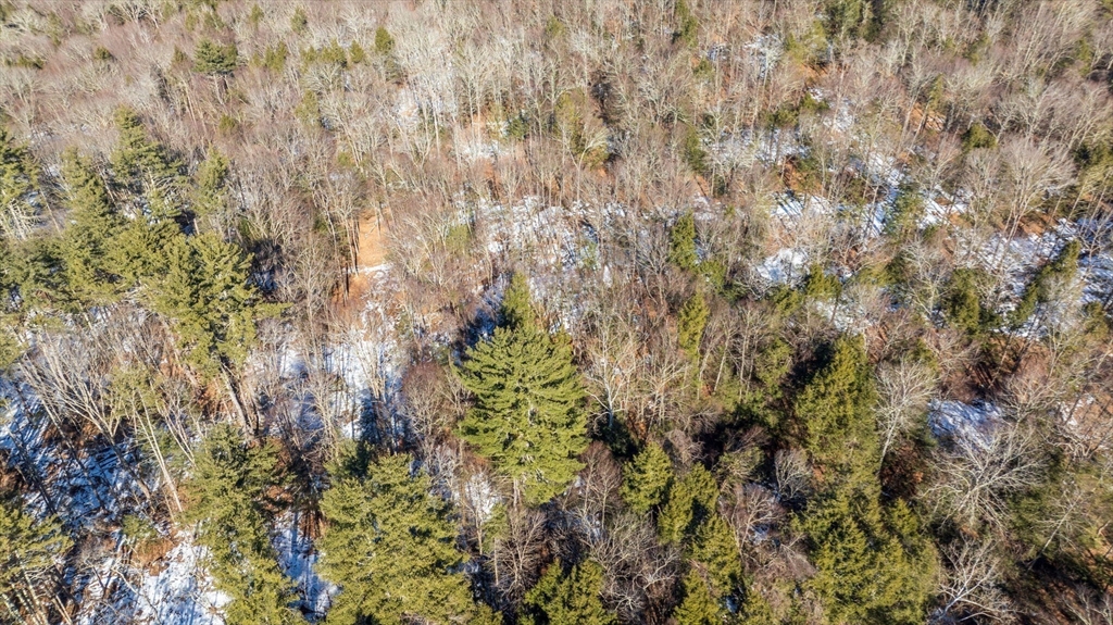 0 Pond Brook Road Property Photo 6