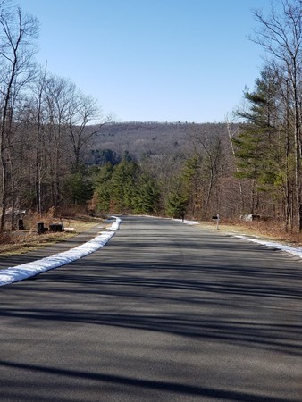 Lot 20 Coldbrook Dr. Property Photo 2