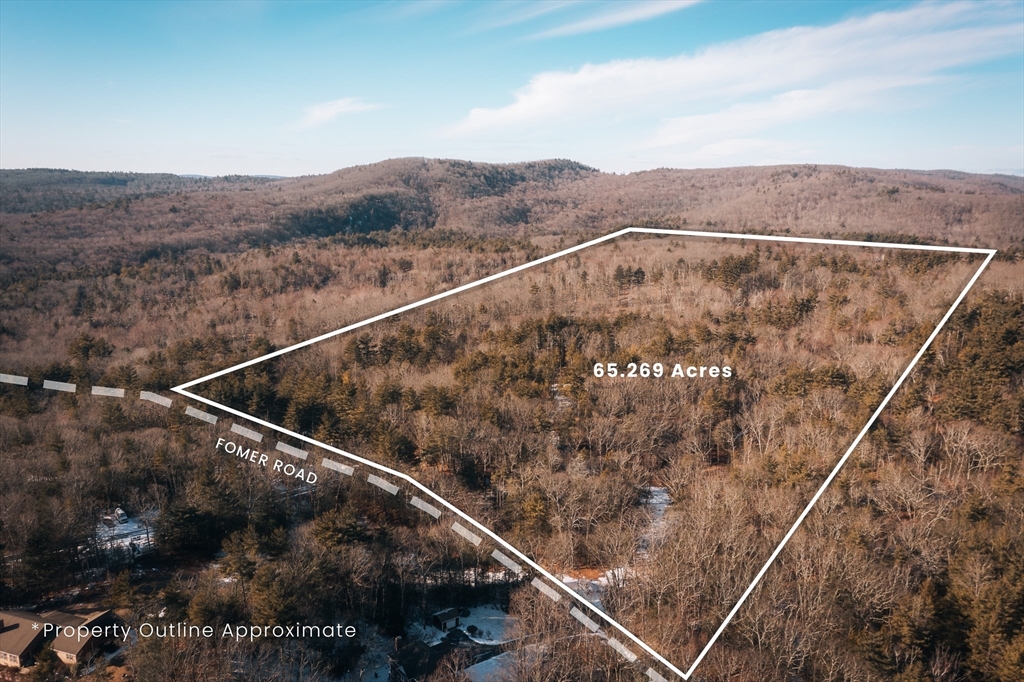 317 Fomer Rd Property Photo 1