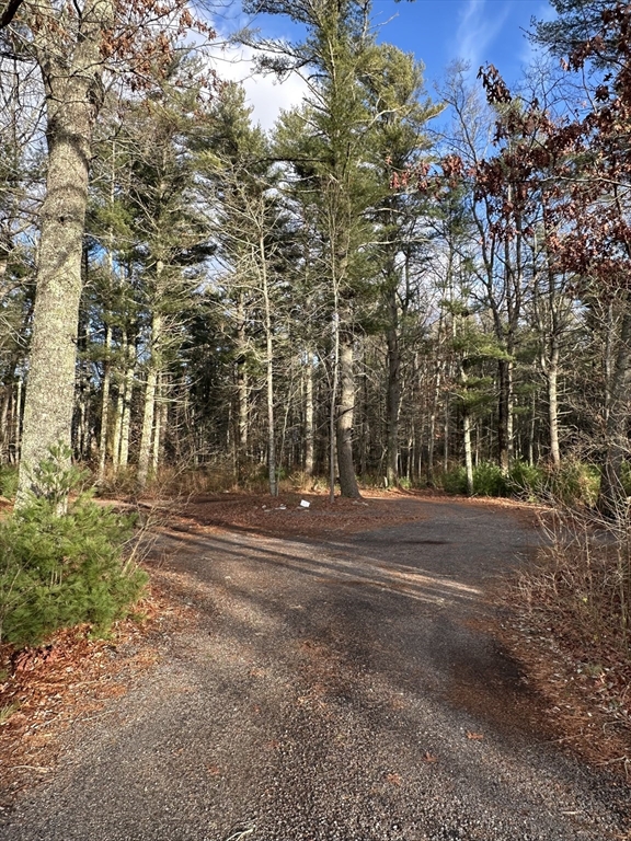 0 Walnut Plain Rd Property Photo 1