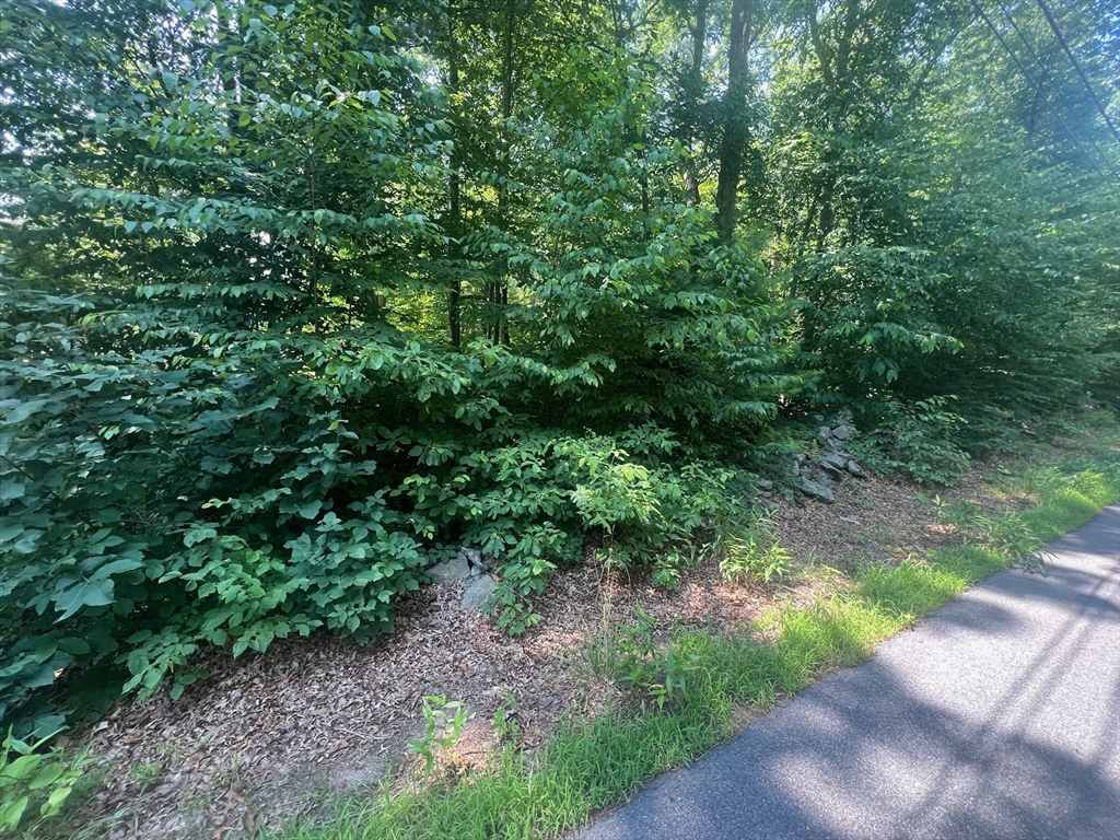 0 Maple Swamp Road Property Photo 3