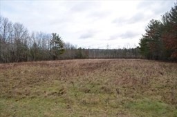884 Stony Hill Rd Property Photo 3