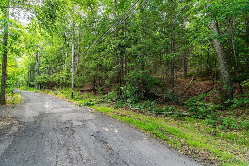 Lot 2 Walnut Hill Property Photo 3
