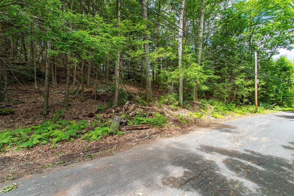Lot 2 Walnut Hill Property Photo 4