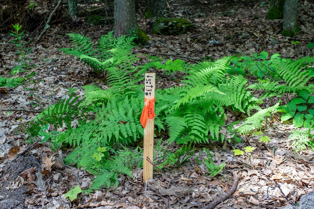 Lot 2 Walnut Hill Property Photo 5