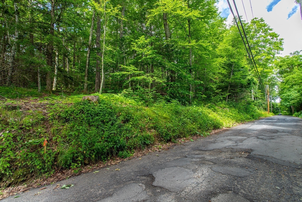 Lot 2 Walnut Hill Property Photo 7