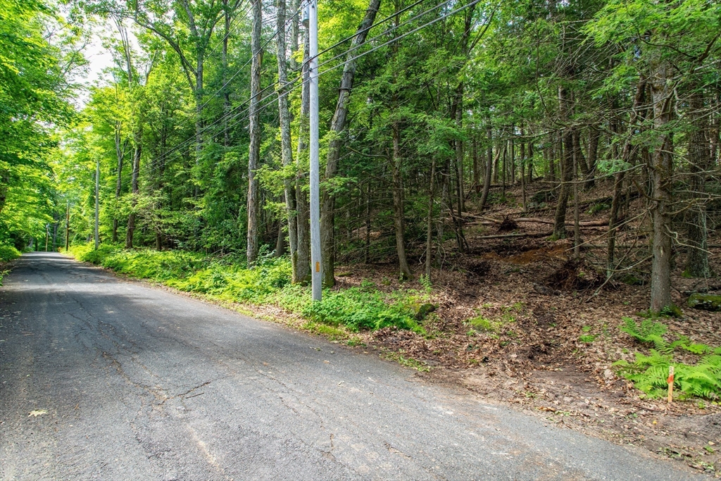 Lot 2 Walnut Hill Property Photo 8