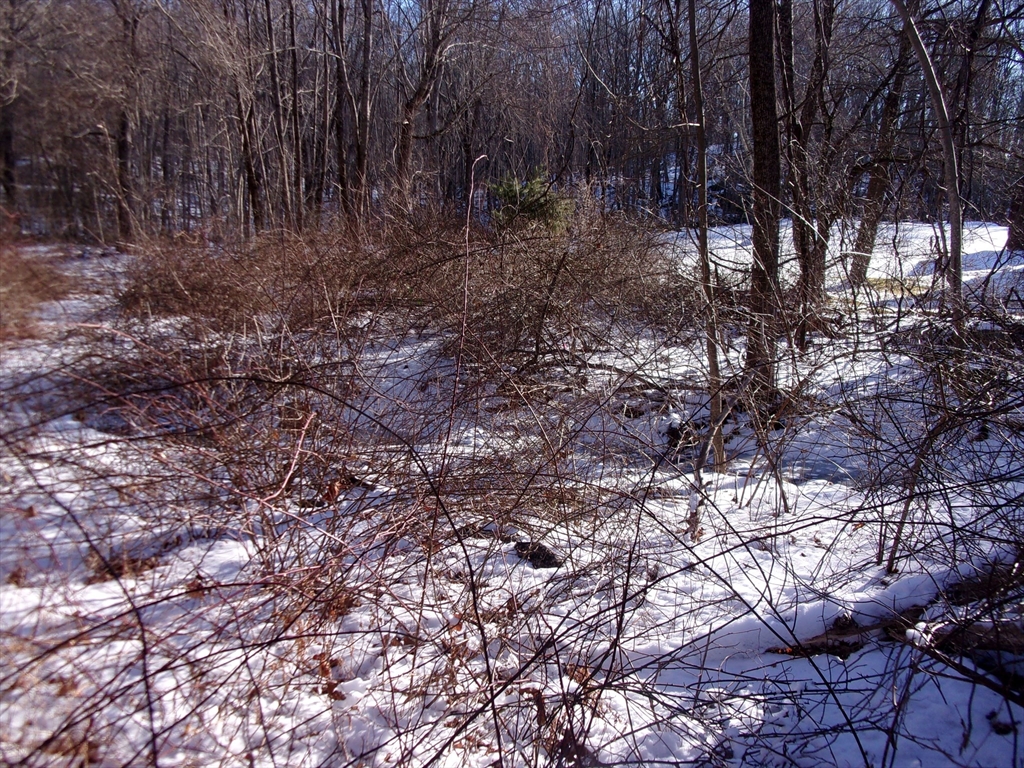 90 Chestnut Hill Road Property Photo 3
