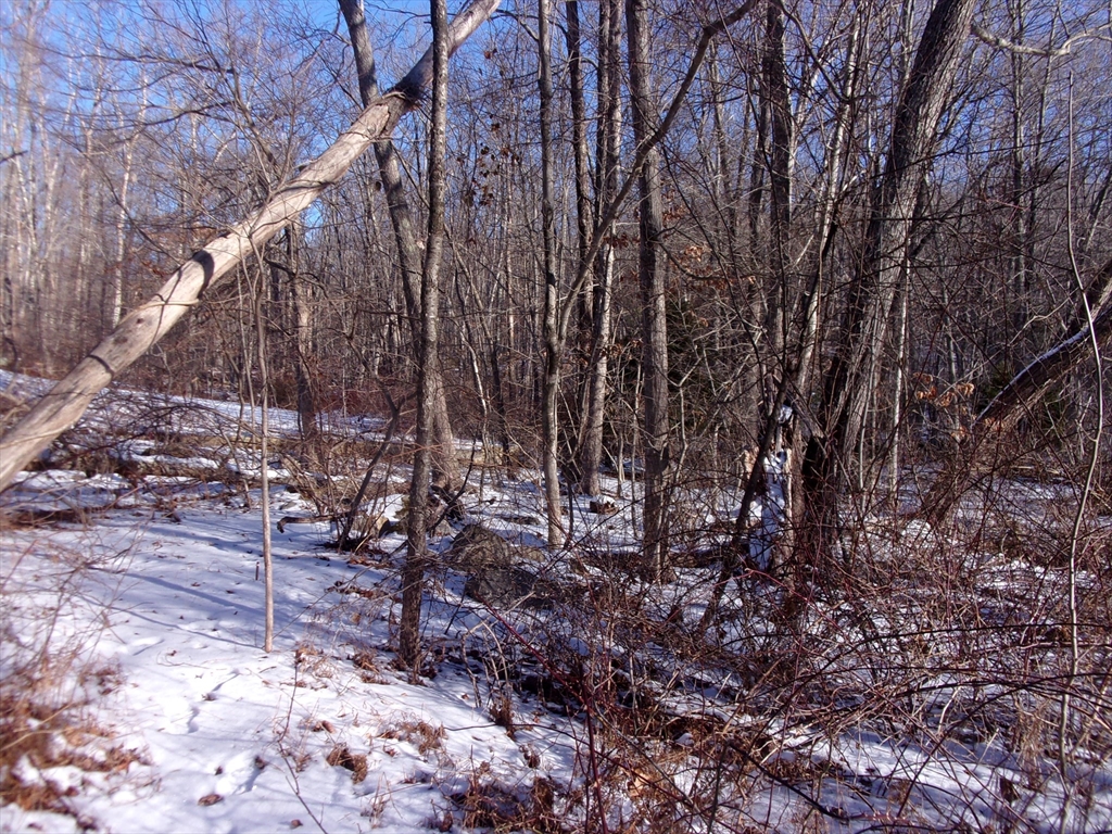 90 Chestnut Hill Road Property Photo 4