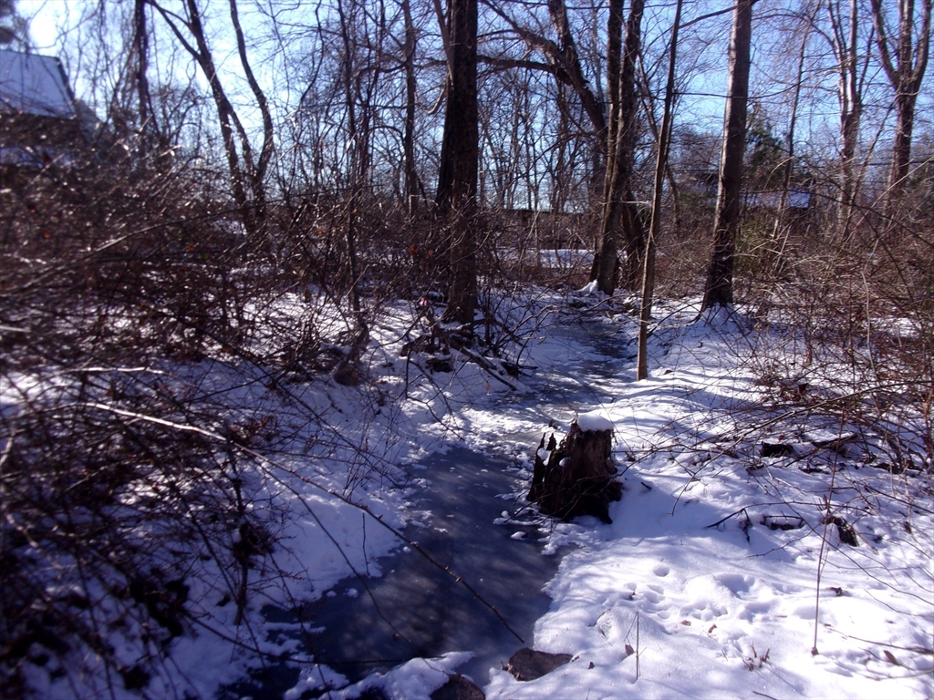 90 Chestnut Hill Road Property Photo 5