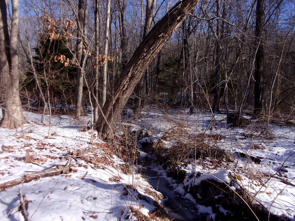 90 Chestnut Hill Road Property Photo 6