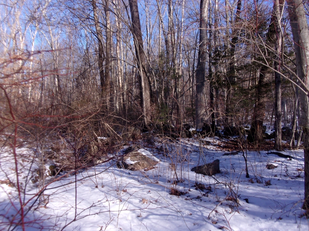90 Chestnut Hill Road Property Photo 7