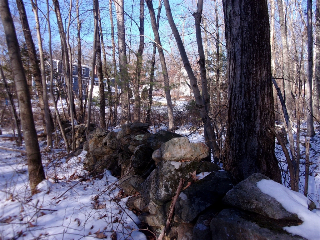 90 Chestnut Hill Road Property Photo 10