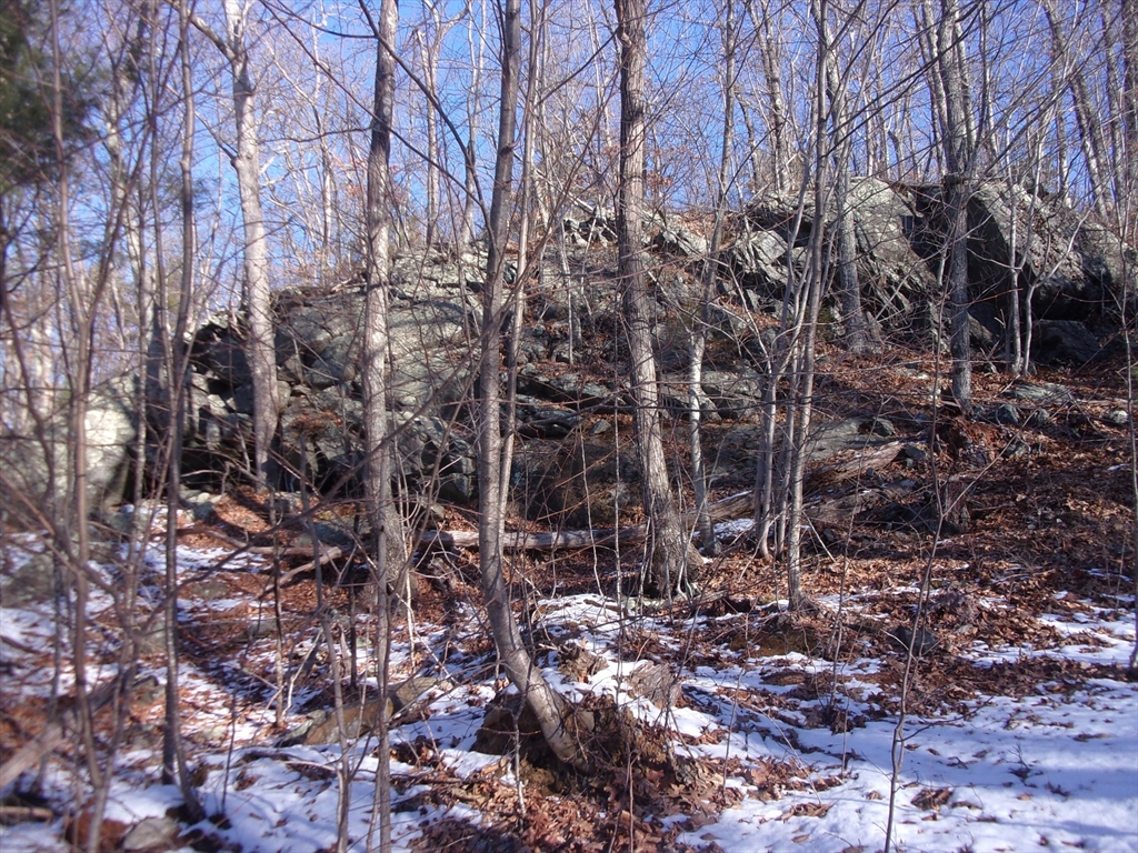 90 Chestnut Hill Road Property Photo 12