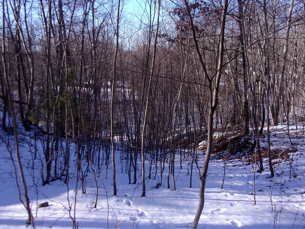 90 Chestnut Hill Road Property Photo 13