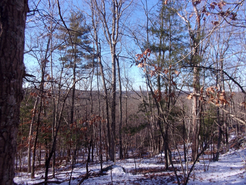 90 Chestnut Hill Road Property Photo 15