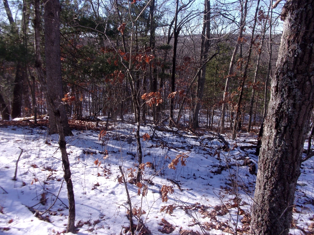 90 Chestnut Hill Road Property Photo 16