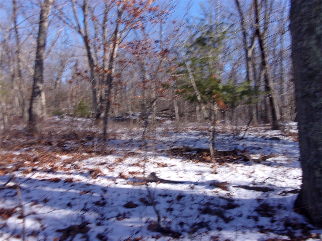 90 Chestnut Hill Road Property Photo 17