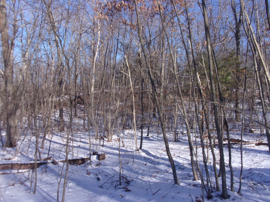90 Chestnut Hill Road Property Photo 18