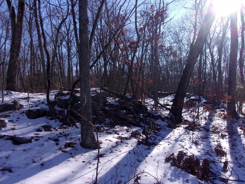 90 Chestnut Hill Road Property Photo 19