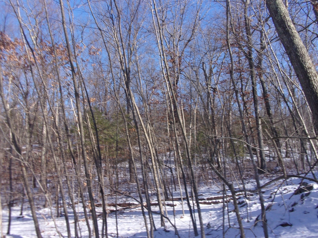 90 Chestnut Hill Road Property Photo 20