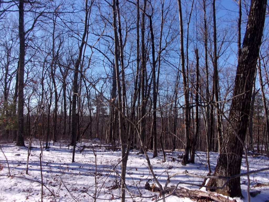 90 Chestnut Hill Road Property Photo 21