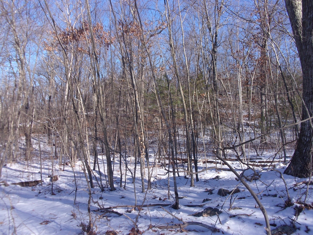 90 Chestnut Hill Road Property Photo 23