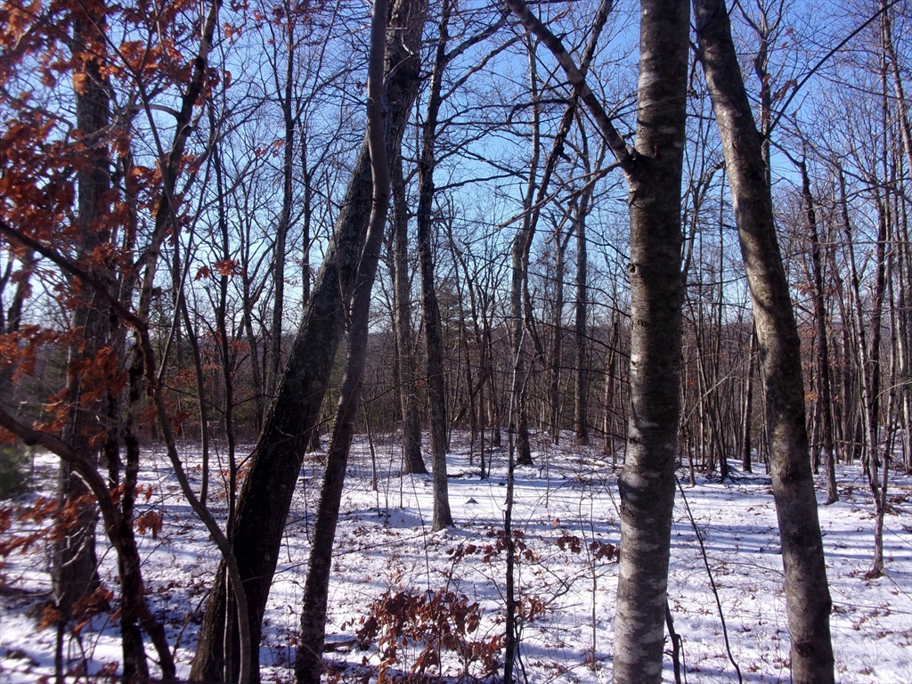 90 Chestnut Hill Road Property Photo 24