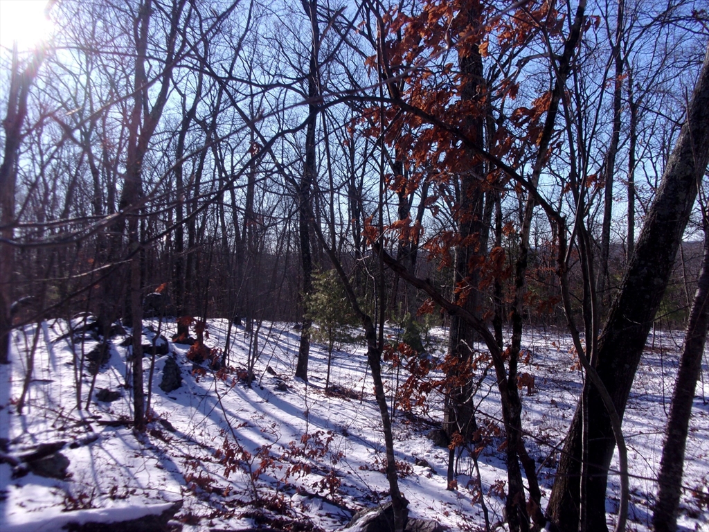90 Chestnut Hill Road Property Photo 25