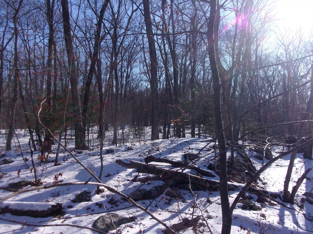 90 Chestnut Hill Road Property Photo 26