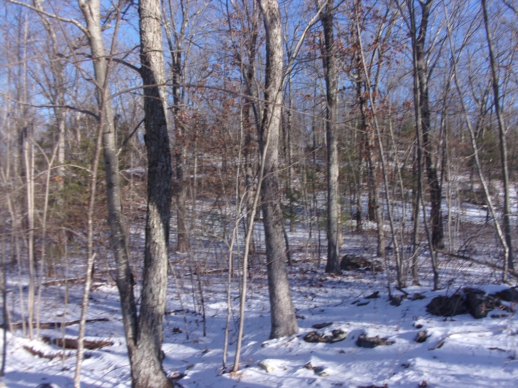 90 Chestnut Hill Road Property Photo 28
