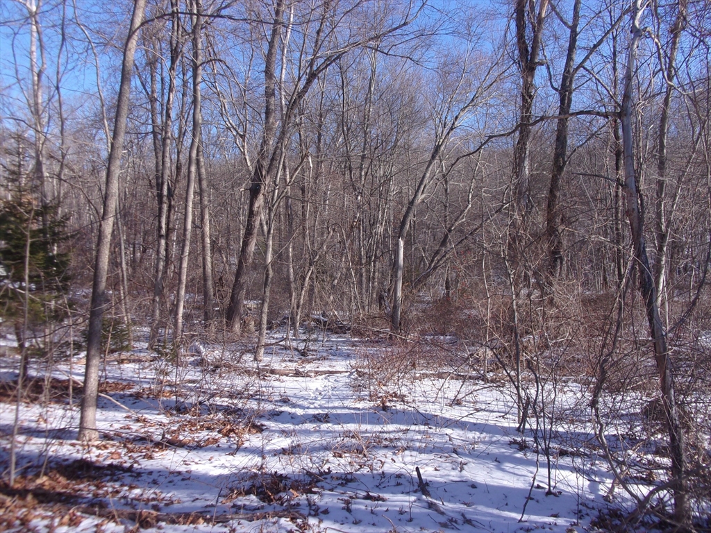 90 Chestnut Hill Road Property Photo 31