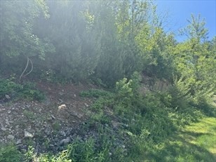 0 Harwood Farm Rd Property Photo 2