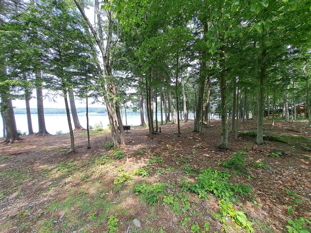0 Stetsons Way Property Photo 7