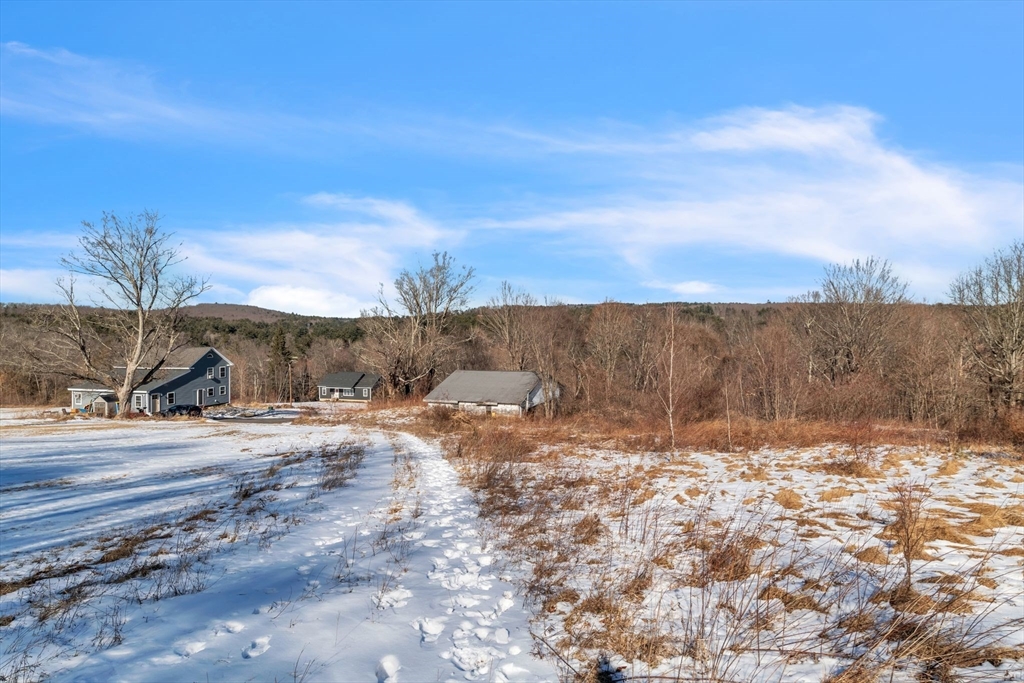 113 Fenton Road Property Photo 16