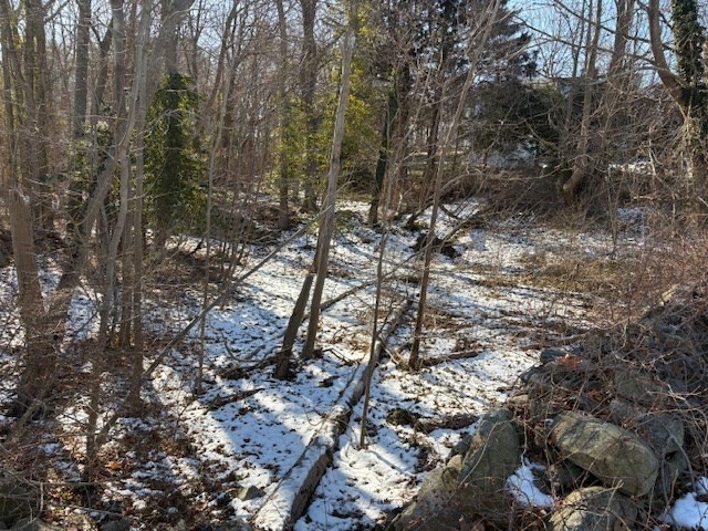 40 Pond Street Property Photo 2