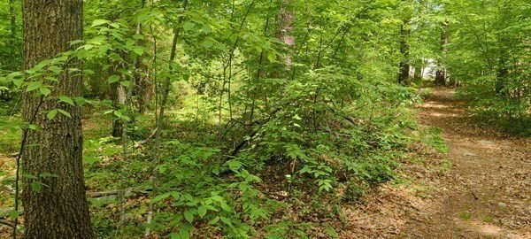 47 Guinevere Property Photo 5