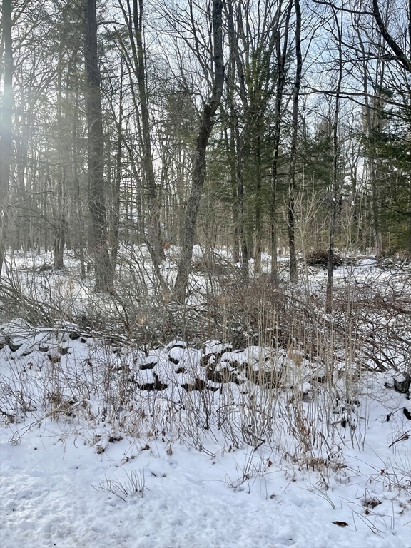 Lot 6 Colebrook River Rd Property Photo 2