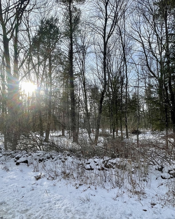 Lot 6 Colebrook River Rd Property Photo 3