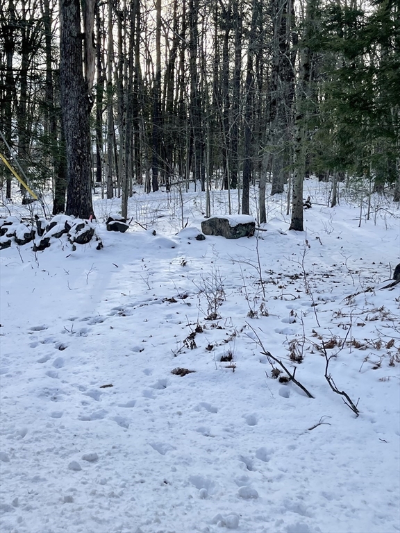Lot 6 Colebrook River Rd Property Photo 4