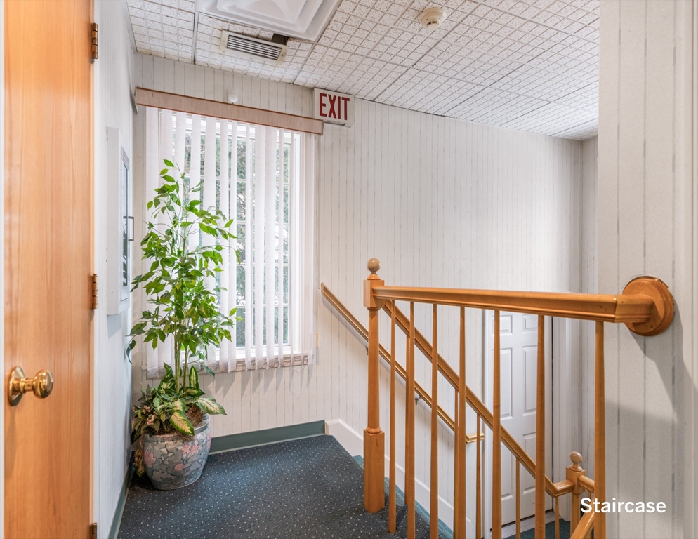 9 Chestnut Street Property Photo 33