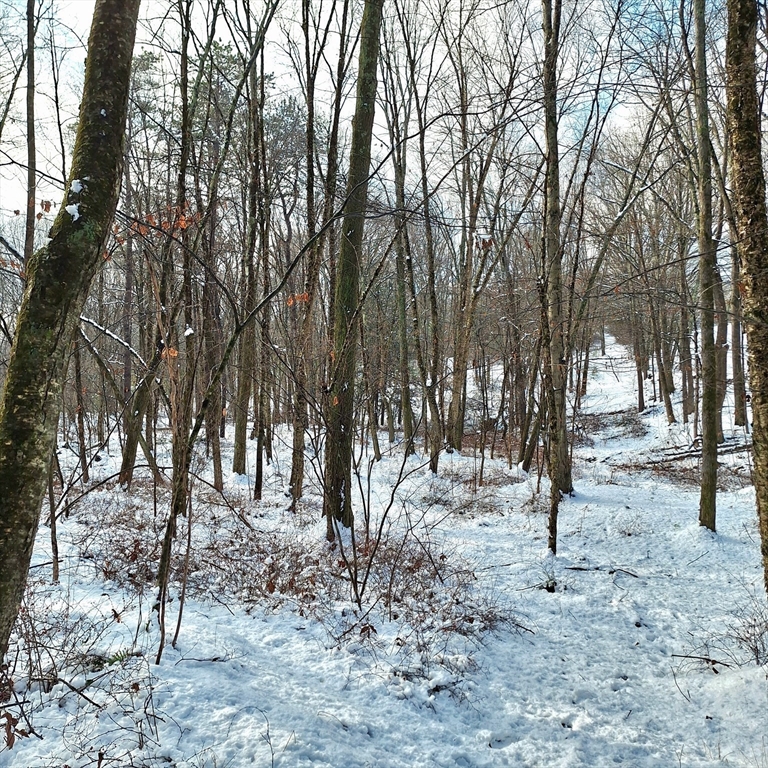 Lot 4 Mountain Rd Property Photo 5