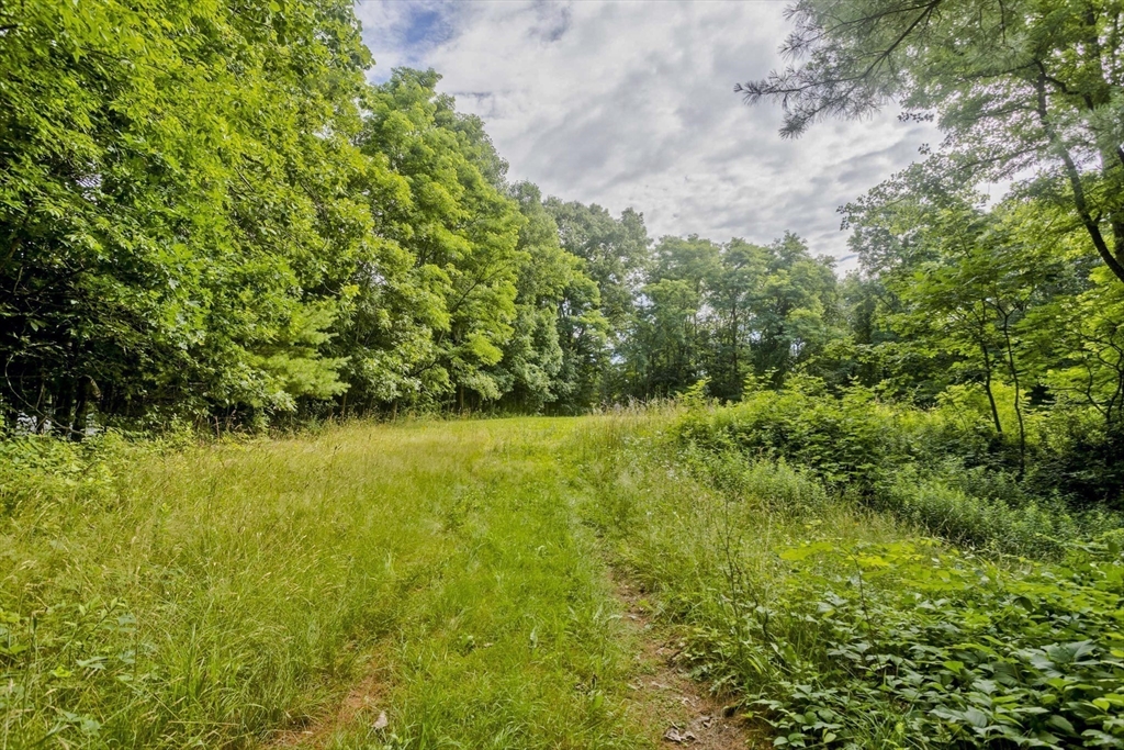 Lot 4 Mountain Rd Property Photo 8