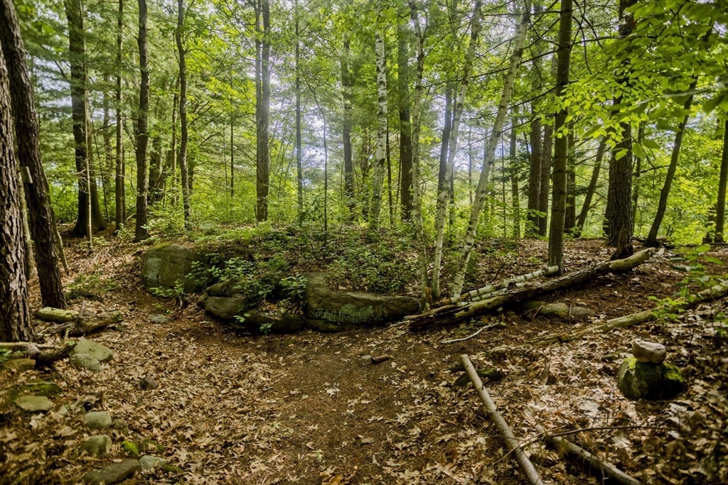 Lot 4 Mountain Rd Property Photo 9