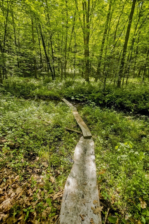 Lot 4 Mountain Rd Property Photo 12