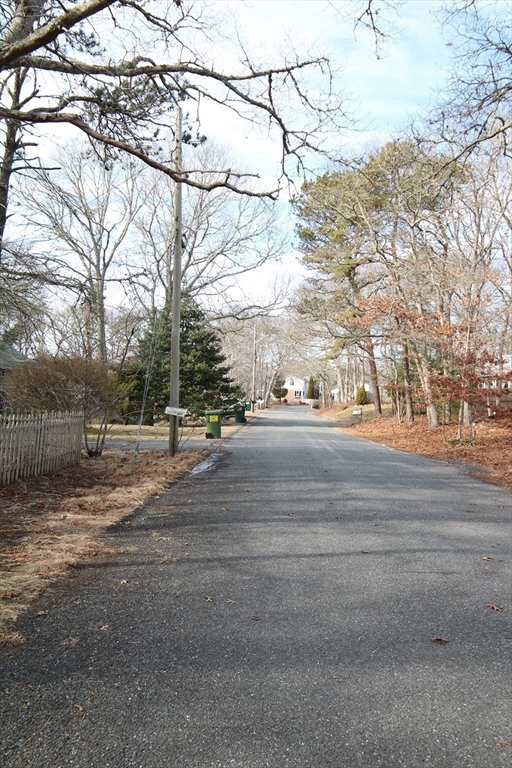 41 Pine Crest Property Photo 4