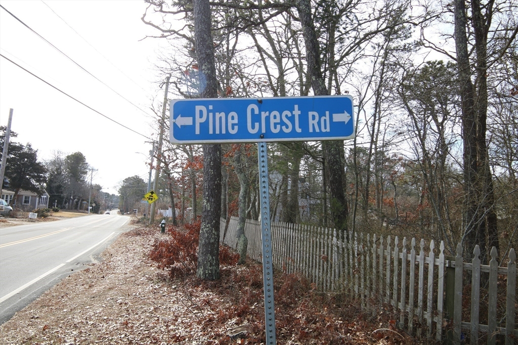 41 Pine Crest Property Photo 9