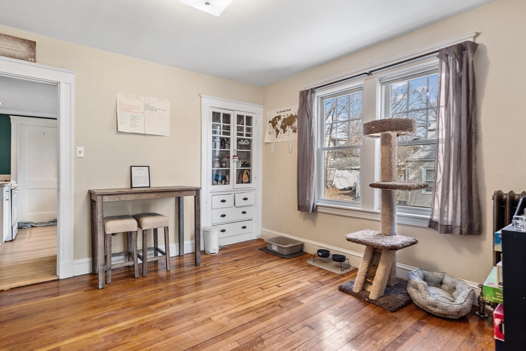 36 Olcott St Property Photo 20