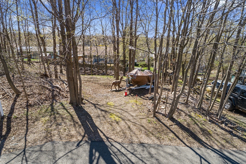 0 Lot 41 Map 10 Property Photo 2